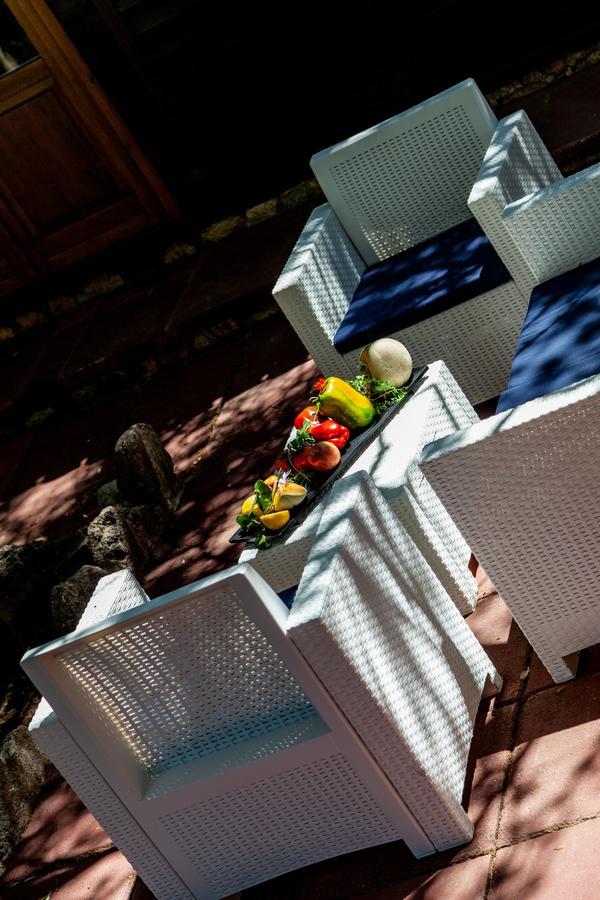 Agriturismo Saltara